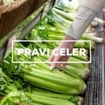 Pravi Celer