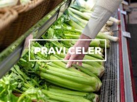 Pravi Celer