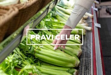 Pravi Celer