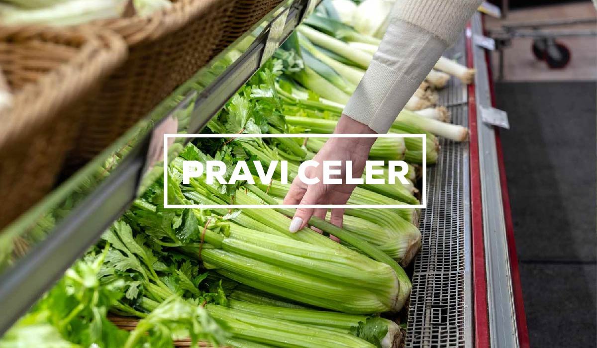 Pravi Celer